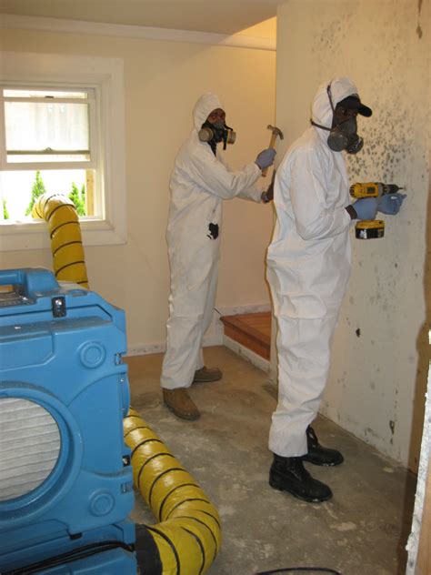 Mold Inspection Bronx Nyc Five Boro Mold Specialist