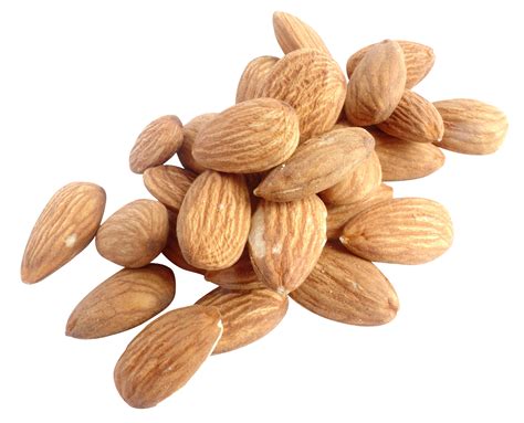 Nuts Png Images Transparent Background Png Play