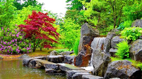 Colorful Garden Park During Spring Hd Garden Wallpapers Hd Wallpapers