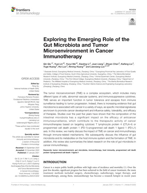 Pdf Exploring The Emerging Role Of The Gut Microbiota And Tumor