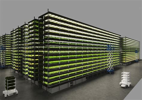 Unveiling The Taiwanese Tech Inside Europes Largest Vertical Farm Ddg