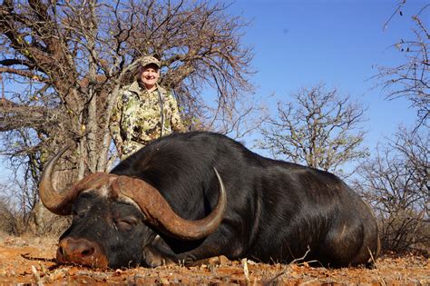 My Limpopo Hunting Safaris Adventure And Cape Buffalo