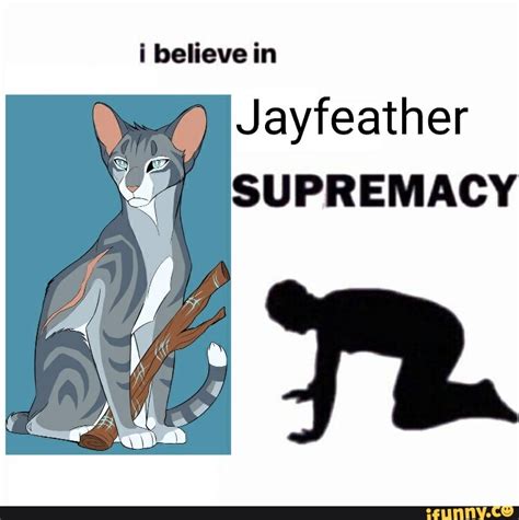 jayfeather memes best collection of funny jayfeather pictures on ifunny