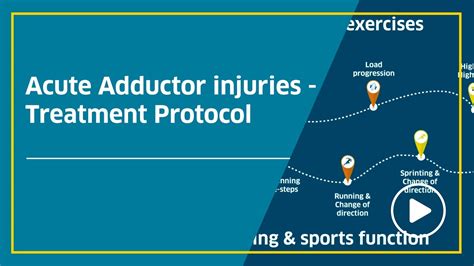 Acute Adductor Injuries Treatment Protocol Youtube
