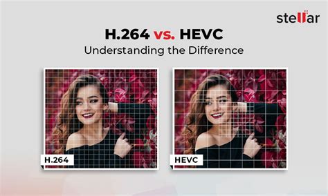 H Vs H Differences Between H Hevc And H Avc Hot Sex Picture