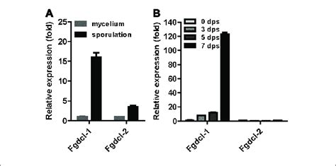 The Expression Patterns Of Fgdcl Gene In Asexual And Sexual Stages Download Scientific