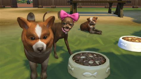 The Sims 4 All Dlc Cats And Dogs Natalie Lasopadynamics