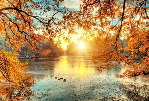 7x5ft Autumn Sunrise Backdrop Lake Outlet Styles 40 Off Sojade Dev