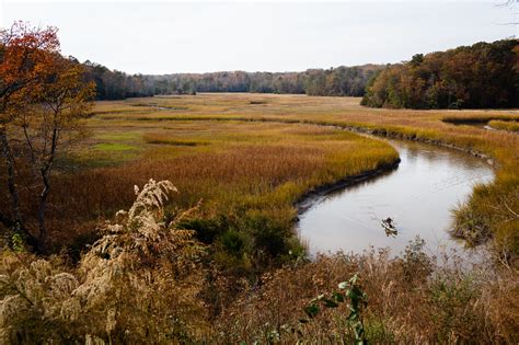 Taskinas Creek At York River State Park In James City County Va Us