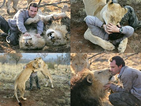 ライオンと戯れることができる男の写真 Gigazine