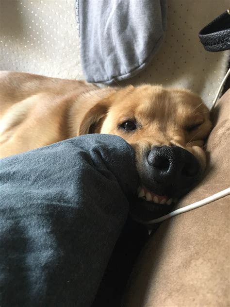 The Face She Makes When She Steals My Spot Rtoofers