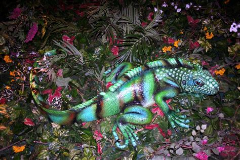 Rainforest Iguana Souvenir Soul Flickr