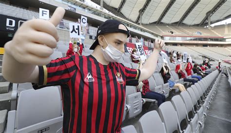 Korean Soccer Club In Hot Water For Putting Sex Dolls In Empty Seats