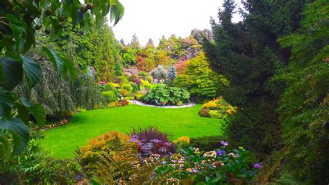 705944 Queen Elizabeth Quarry Garden Vancouver Parks Mocah Hd
