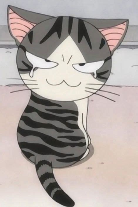 Resultado De Imagen Para Sweet Cartoon Cat Profiles Chis Sweet Home