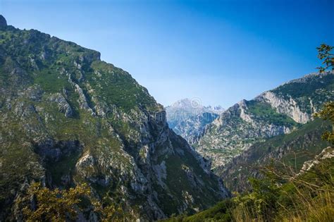 Mountain Landscape Picos De Europa Asturias Spain Stock Image