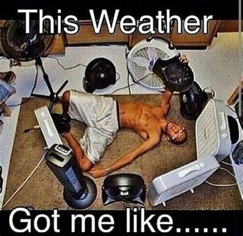 Funny Pictures Of The Day 49 Pics Hot Weather Humor Weather Memes
