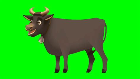 Green Screen Sapi Mentahan Animasi Sapi Cows Animation Green Screen