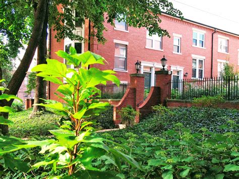 St Louis Living - Happy to welcome a new neighbor here in... | Facebook