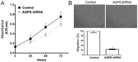 Tudorstaphylococcal Nuclease Regulates The Expression And Biological