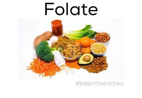 ?Folate, necessary for soon-to-be moms, is also very important for kids ...