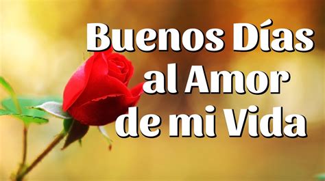 19 Imágenes De Buenos Días Mi Amor Para Whatsapp