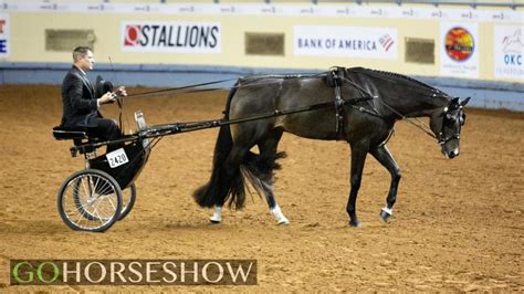 Gohorseshow Junior Pleasure Driving Charlie Cole Hubbout A Dance 2019