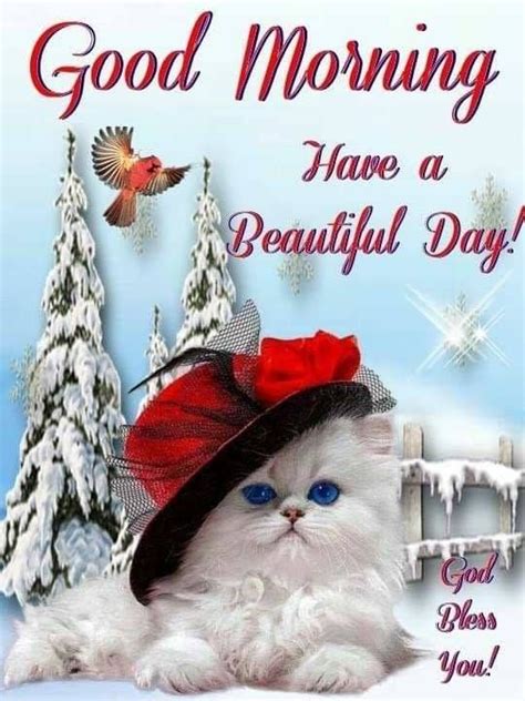 Winter Kitty Good Morning Beautiful Day Quote Pictures Photos And