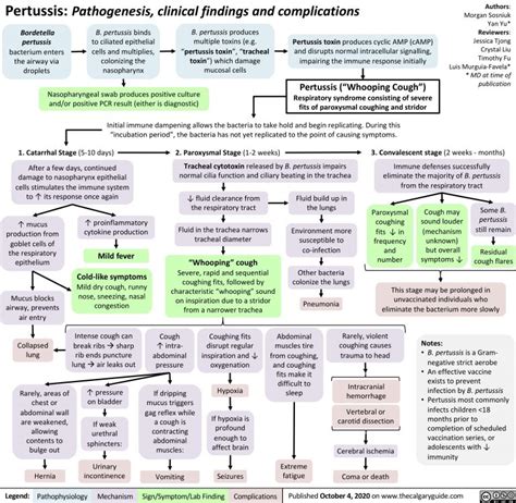 Pertussis Pathogenesis Clinical Findings And Complications Calgary
