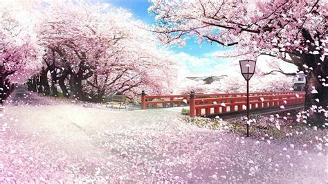 Pink Cherry Blossom Anime Wallpapers Wallpaper Cave