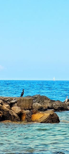 Sea Blue Free Photo On Pixabay Pixabay