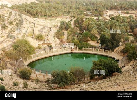 Nefta Oasis High Resolution Stock Photography And Images Alamy