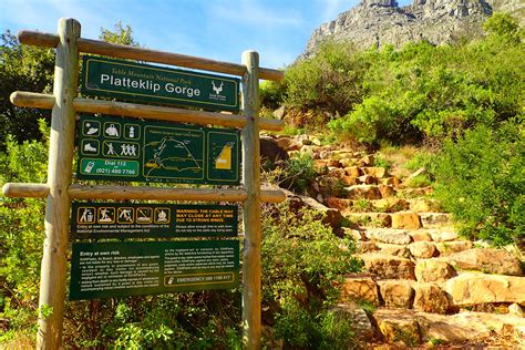 Hiking Table Mountain Via Platteklip Gorge — Deviating The Norm