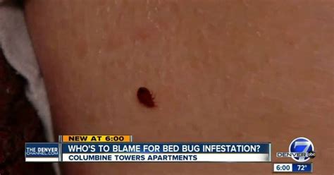 Few Answers For Bed Bug Infestation Victims