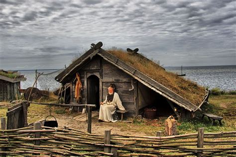 Viking Village Viking House Vikings