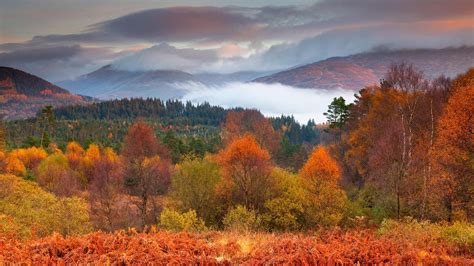 The Trossachs National Park In Autumn Stirling Scotland Peapix