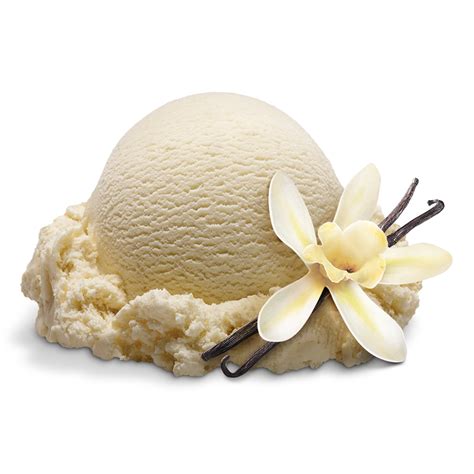 Vanilla Ice Cream Ben Jerrys