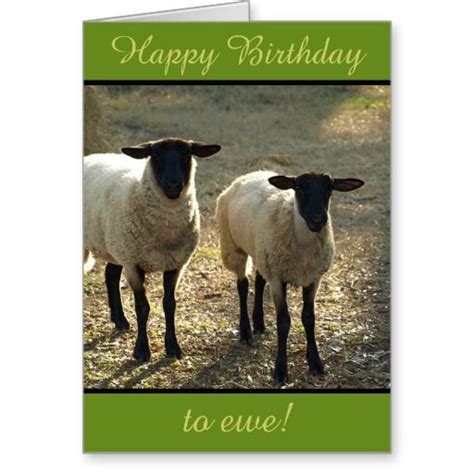 Happy Birthday To Ewe From The Flock Customizable Card