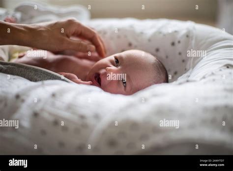 Cute Newborn Baby Boy Laying In Bassinet Stock Photo Alamy