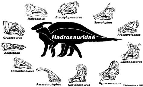 Hadrosauridae Dinosaur King Fandom Powered By Wikia