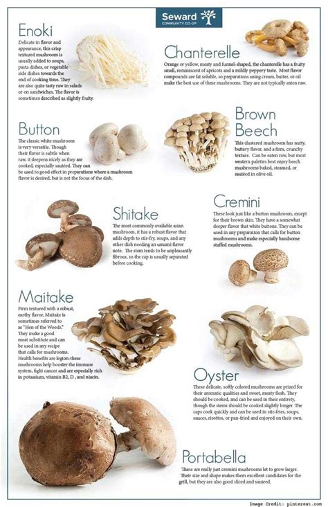The Magical Nutrition of Cooked Mushrooms