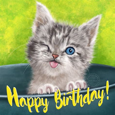 10 Animated  Happy Birthday  Funny Cat