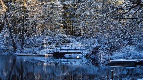 Nature Landscapes Trees Forest Lakes Water Reflection Winter Snow