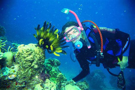 Cairns Liveaboard Dive Trip Snorkel Great Barrier Reef