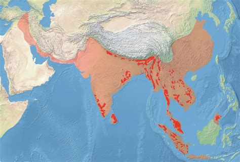 Modern And Historical Range Of The Elephants Vivid Maps