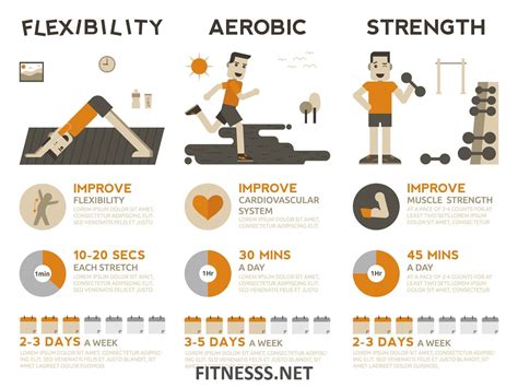 The 5 Components Of Fitness Which Improves Cardiovascular Endurance
