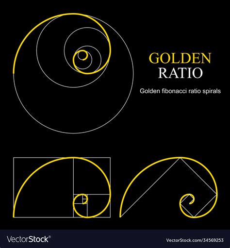 golden ratio template set proportion symbol vector image