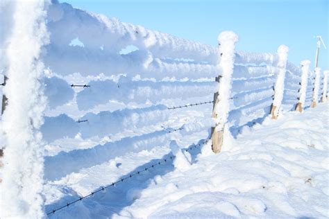 Hoar Frost Prikkeldraad Fence Gratis Stock Foto Public Domain Pictures