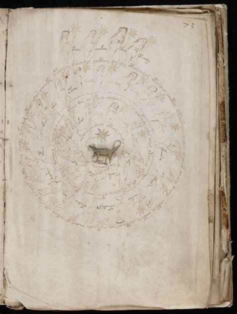 A Page From The Voynich Manuscript Picryl Public Domain Image