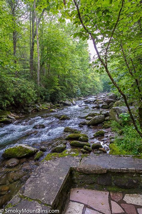 Little River Trail Hike Review With Photos And Insider Tips